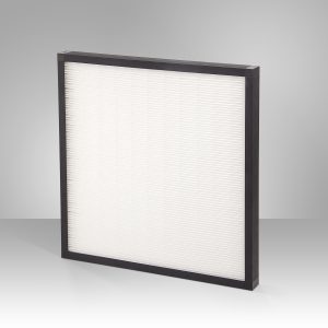 Deep Pleat with black frame